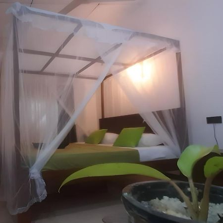 Dickwella Green Villa المظهر الخارجي الصورة