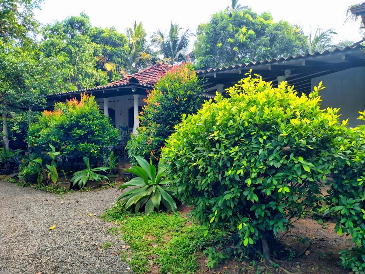 Dickwella Green Villa المظهر الخارجي الصورة